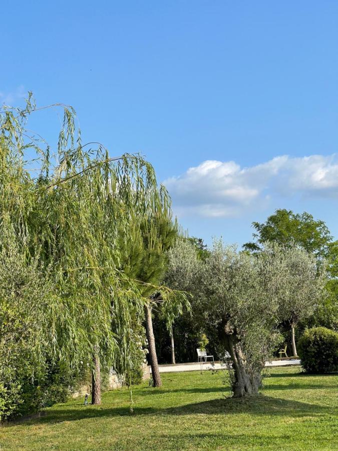 La Maison Des Lonnes Châteaurenard Esterno foto